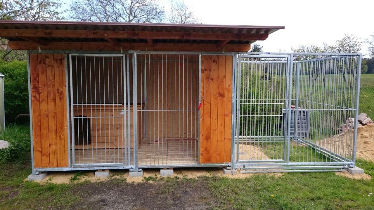Ferienhof-Rietschen-Neuliebel Exterior foto